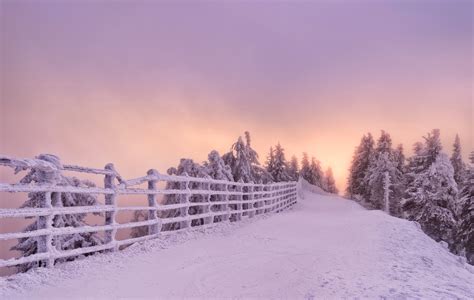 Wallpaper Sunlight Landscape Snow Winter Evening Morning Frost