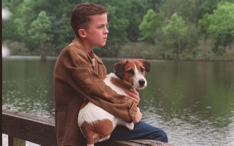 20 Filmes Com Pets Para Ver Ao Lado Do Seu Melhor Amigo