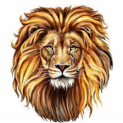 Lion Illustrations Face Clip Head Vector Illustration