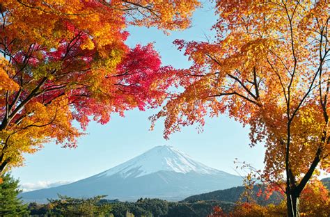Autumn In Japan Full Hd Wallpaper And Background Image 3100x2047 Id