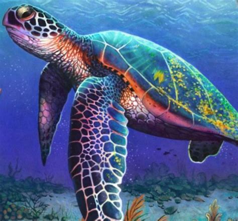 Some artists, including me, spend well over thirty hours on one graphite pencil drawing. Amazing Colored Pencil Drawing Of A Sea Turtle | Color ...