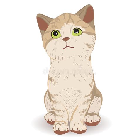 Cute Cat Sitting Stock Vector Illustration Of Pussycat 56515951