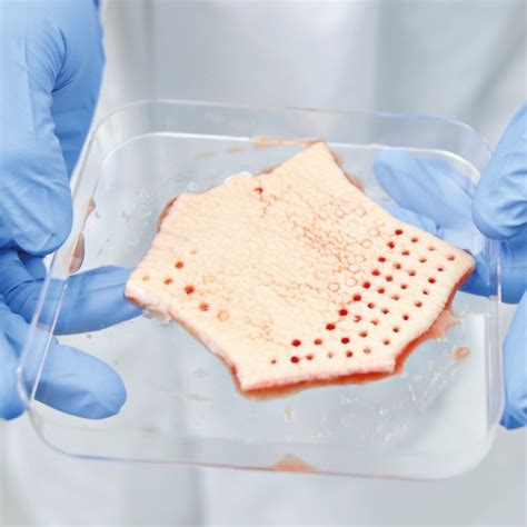 Human Tissue Samples Labor İldam