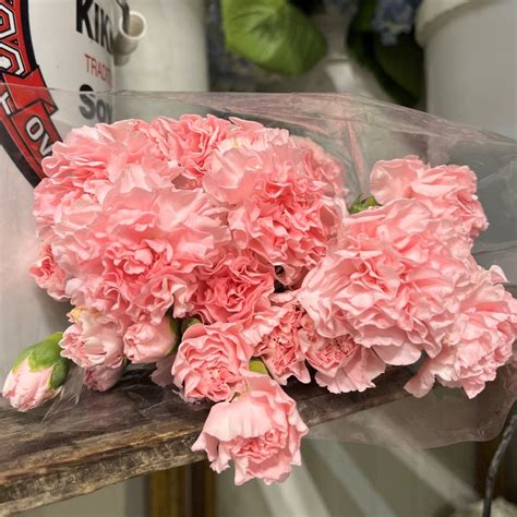 Light Pink Mini Carnations Wholesale Flwoers And Diy Wedding Flowers