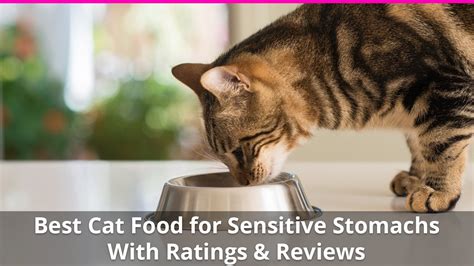 You have to find the best cat food for sensitive stomach diarrhea that can be more efficient and ideal for their condition. Best Cat Food for Sensitive Stomachs Wet and Dry Brand Reviews