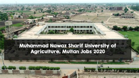 Muhammad Nawaz Sharif University Of Agriculture Multan Jobs 2020