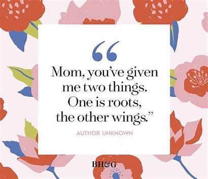 Mothers Poems Mother Quotes Roots Unknown Quote