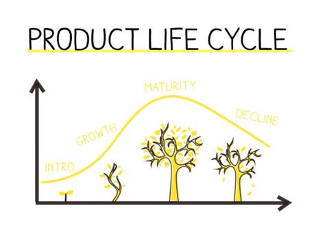 Product Development Life Cycle Process
