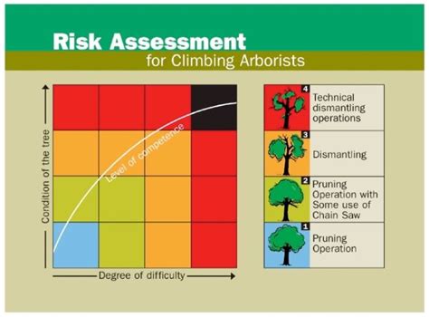 Risk Assessment Matrix For Climbing Arborists Download Scientific