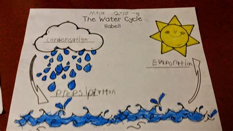 Mrs Petersons 1st Grade The Water Cycle