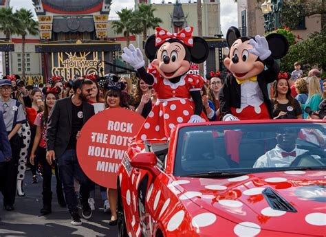 Minnie Mouse Gets Star On Hollywood Walk Of Fame Ziggy Knows Disney