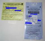 Pictures of Where To Buy Nys Fishing License