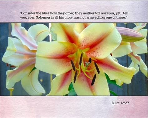 8x10 Scripture Photo Luke 1227 Consider The Lilies How They Grow