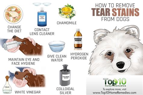 Sometimes makeup remover being harsh for sensitive skin at that time petroleum jelly help to clean eyes. How to Remove Your Dog's Tear Stains | Top 10 Home Remedies