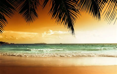 Wallpaper Sand Sea Beach Sunset Tropics Palm Trees Shore Beach