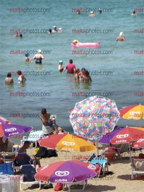 Beaches Golden Bay Sandy Summer Sunbathing Swimming Malta Photos