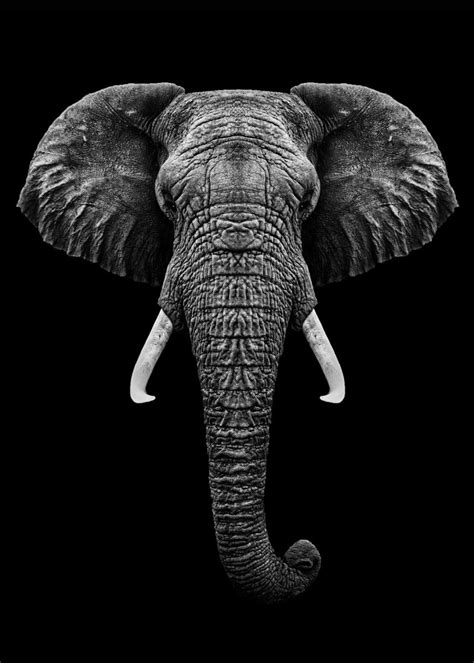 Elephant Head With Horns Poster Print By Mk5 Studio Displate In