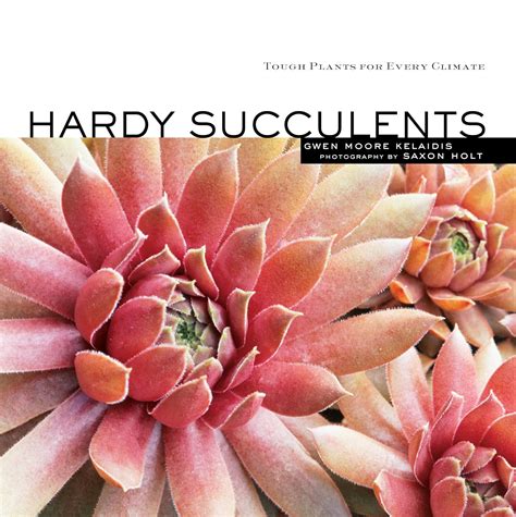 Hardy Succulents Tough Plants For Every Climate Illustrated Kelaidis Gwen Moore Holt Saxon