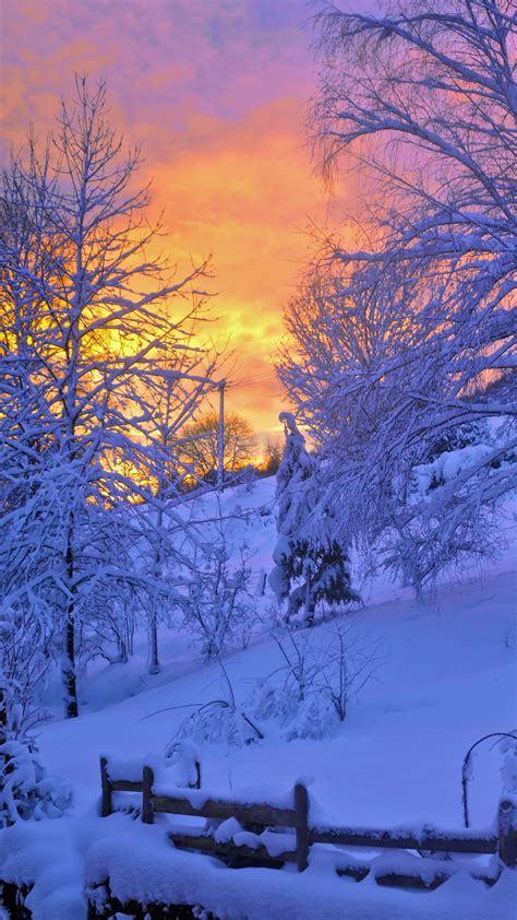 Download Wallpaper 2160x3840 Winter Snow Sunset Fence Sky Trees
