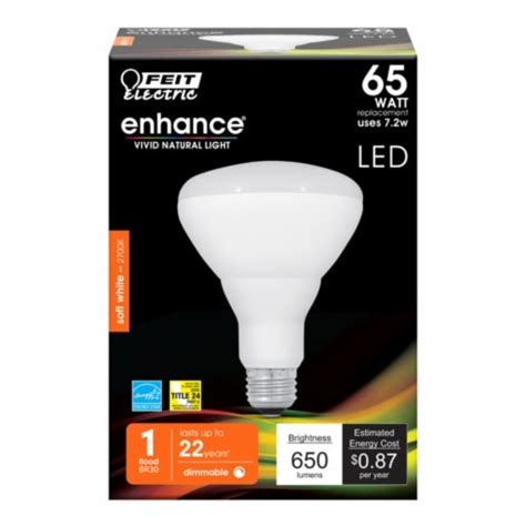 Feit Electric Br30 E26 Medium Led Bulb Soft White 65 Watt Equivalence