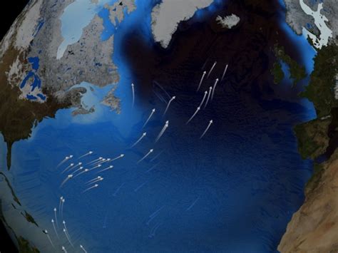 Effects Of Variability In Atlantic Ocean Circulation Eos