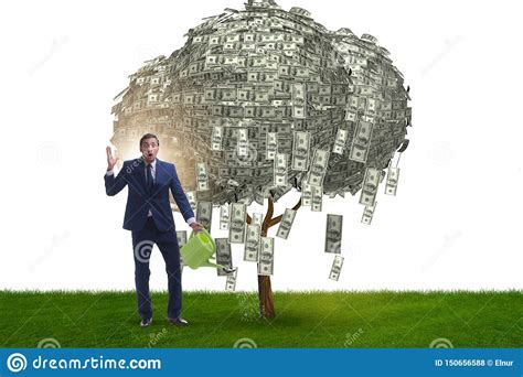 The Businessman Watering Money Tree In Investment Concept Stock Photo
