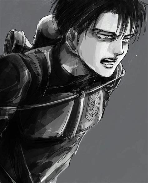 levi ackerman attack on titan levi ackerman attack on titan attack on titan levi