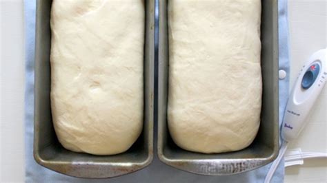 How To Make Frozen Bread Dough Rise Faster Bread Poster