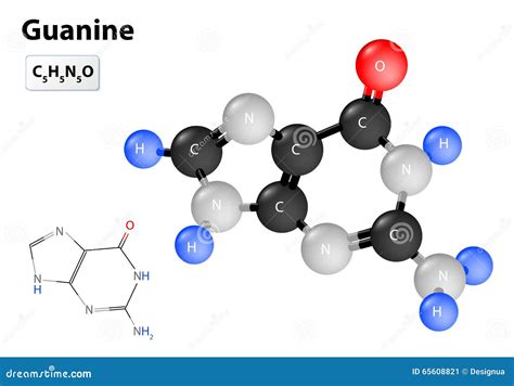 Guanine Chemical Structural Formula And Model Of Molecule C5h5n5o Vector Illustration