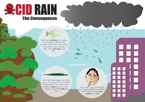 acid rain the consequences [infographic] infographic list