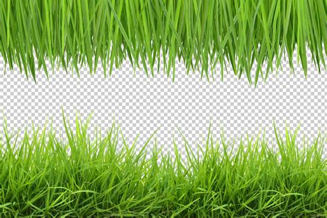 Grass Photo Overlays Photoshop Overlay Photo Prop Green Etsy