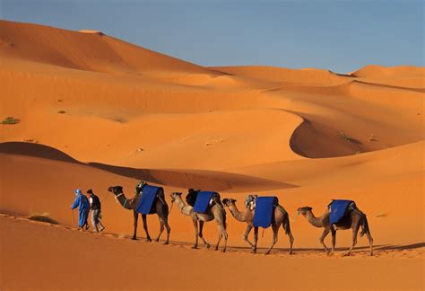 مرزوكة سحر صحراء المغرب في الجمال والشفاء نون بوست