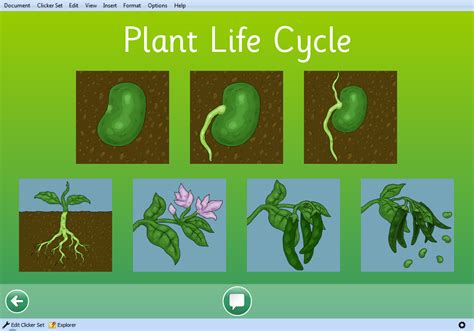 Label The Life Cycle Of A Plant My Xxx Hot Girl