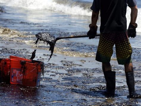 Cause Of Oil Spill Probed As Cleanup Of Calif Coast Continues