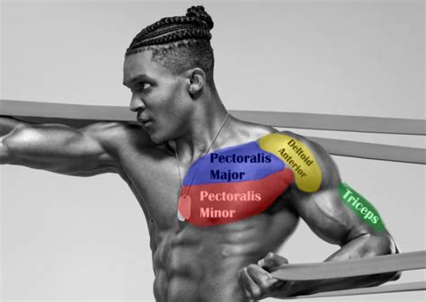 The 6 Best Chest Exercises With Resistance Bands Biqbandtraning