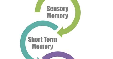 Types Of Memory Working Memory Tied To Your Childs Intelligence