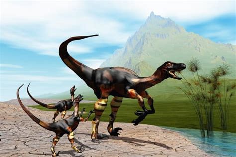 What Did The Raptor Dinosaur Habitat Look Like Plus 11 More Facts
