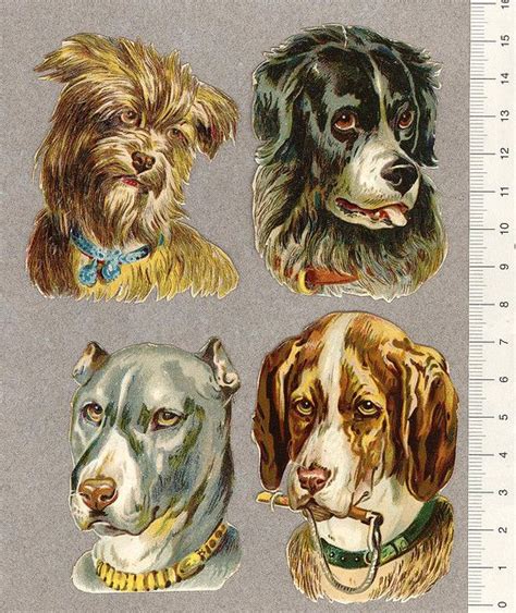 Hundhuvuden Vintage Dog Art Drawings For Kids Vintage Illustration