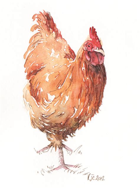 Little Red Hen Chicken Painting Chicken Art Watercolor Rooster