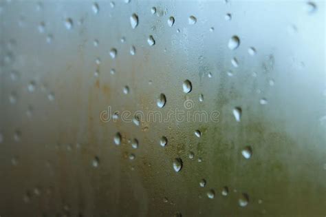 Large Raindrops On The Window Glass Rainy Weather Stock Photo Image