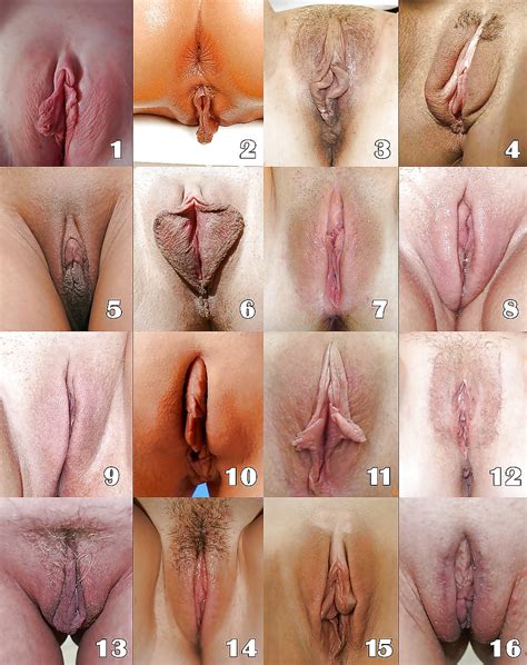 See And Save As Select Your Favorite Pussy Shape Porn Pict 4crot