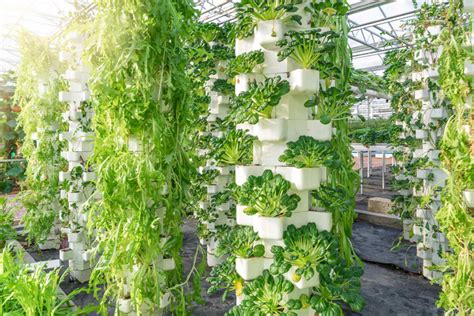 How To Create A Vertical Hydroponic Gardening System Hydroponic
