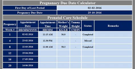 Download Prenatal Care Schedule Excel Template Exceldatapro