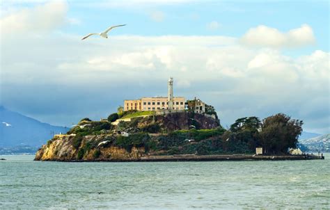 We did not find results for: Alcatraz Island Tours & What You Need to Know - The Purple ...