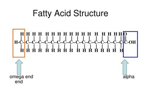 Ppt Chapter 6 Lipids Powerpoint Presentation Free Download Id6913007