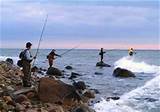 Free Saltwater Fishing License Ny Images