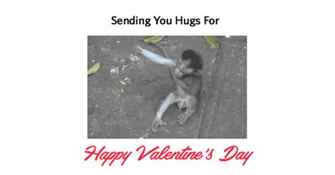 40 Great Happy Valentines Day Animated  Images At Best