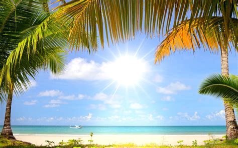 Summer Beach With Palms Hd Wallpaper For Widescreen Desktop Pc 1680x1050