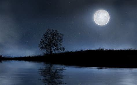 Artistic Moon Hd Wallpaper Background Image 1920x1200