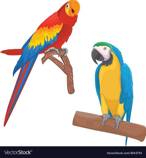 Parrots Royalty Free Vector Image Vectorstock